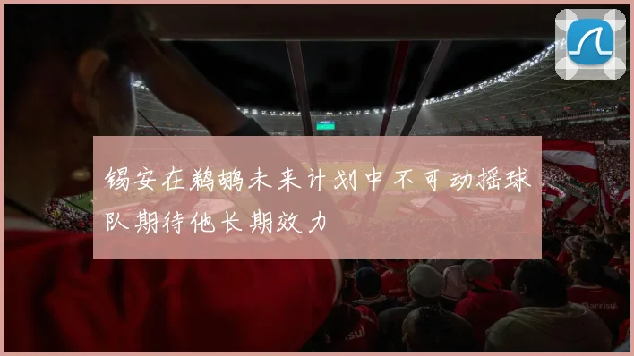 锡安在鹈鹕未来计划中不可动摇球队期待他长期效力