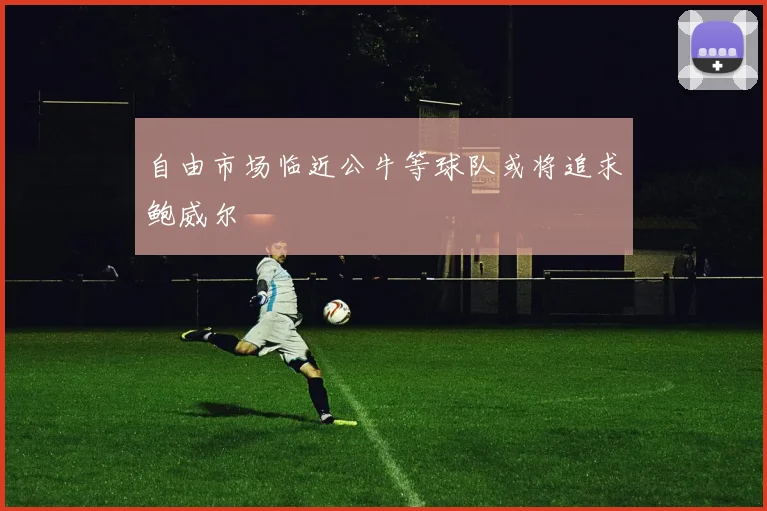 自由市场临近公牛等球队或将追求鲍威尔